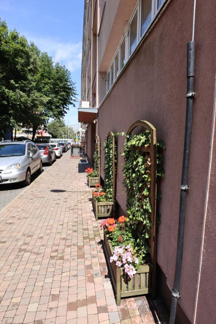 Blue * Szczecin